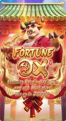 ck78 · Fortune Ox